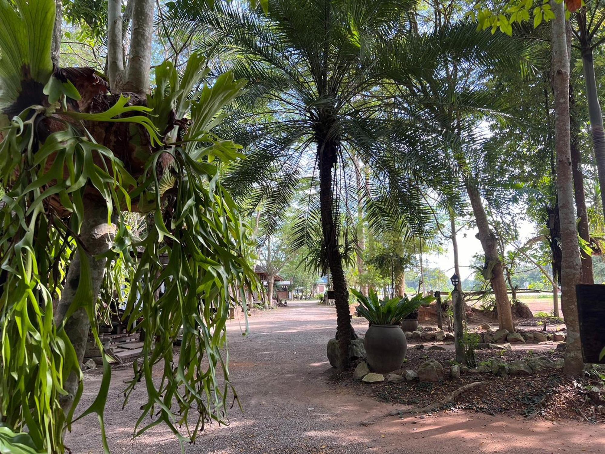 Pang Mai Resort Songkhla Exterior foto