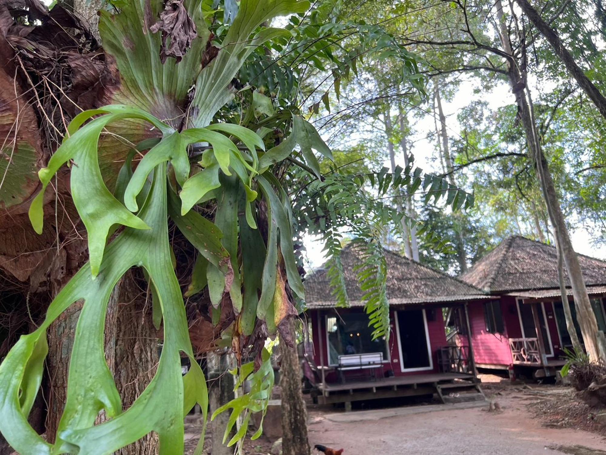 Pang Mai Resort Songkhla Exterior foto